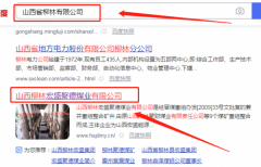 山西柳林*盛聚德煤業(yè)有限公司網站建設基本流程