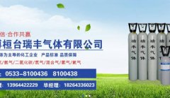 淄博桓臺(tái)瑞*氣體有限公司制作網(wǎng)站營銷型案例作品