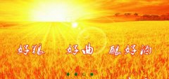山東省梁山縣徐*生物工程有限公司網(wǎng)站建設(shè)新一代自助建站、智能建站系統(tǒng)