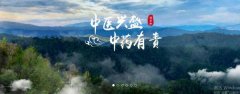 普洱淞*醫(yī)藥集團(tuán)有限公司網(wǎng)站建設(shè)新一代自助建站、智能建站系統(tǒng)